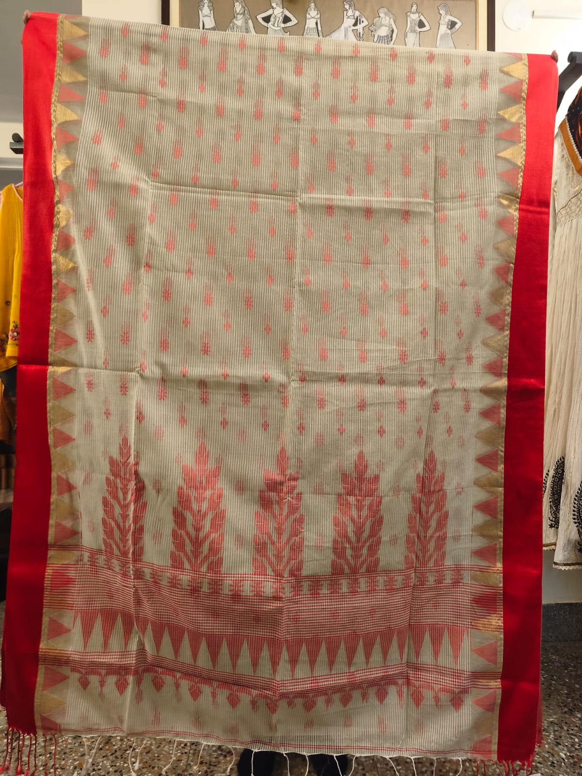 Bengal Handloom Cotton Saree